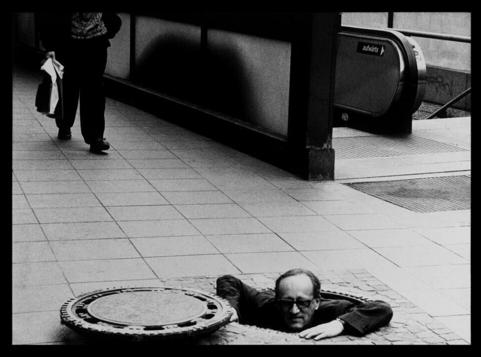 Når blodbøken er grønn