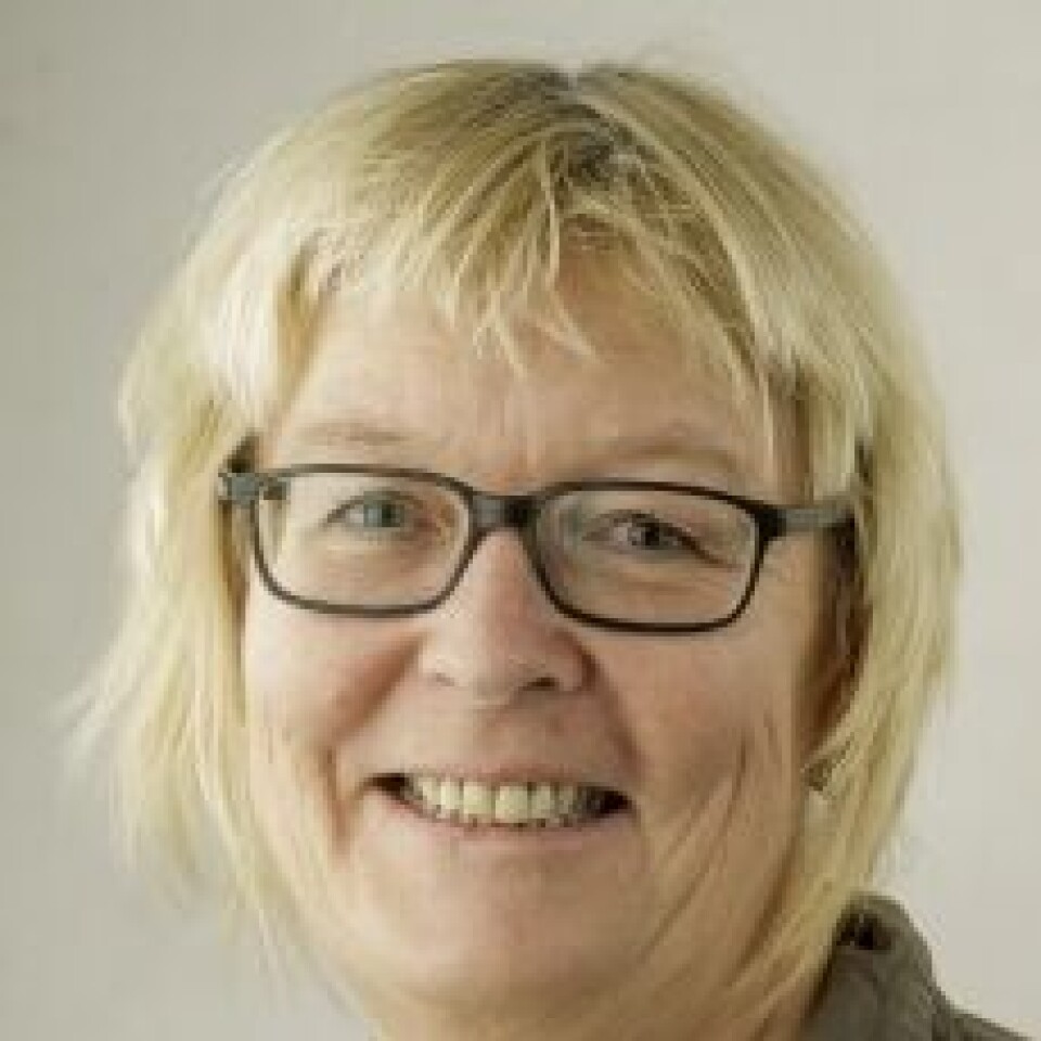 Direktør Beate Stang Aas. Foto: HT