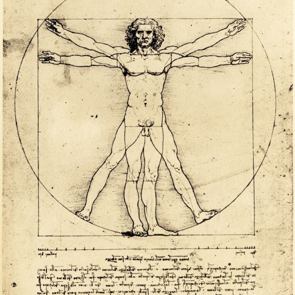 Leonardo da Vincis Vetruviansk man, urbilden för den historiska renässansen: människan som alltings mått.