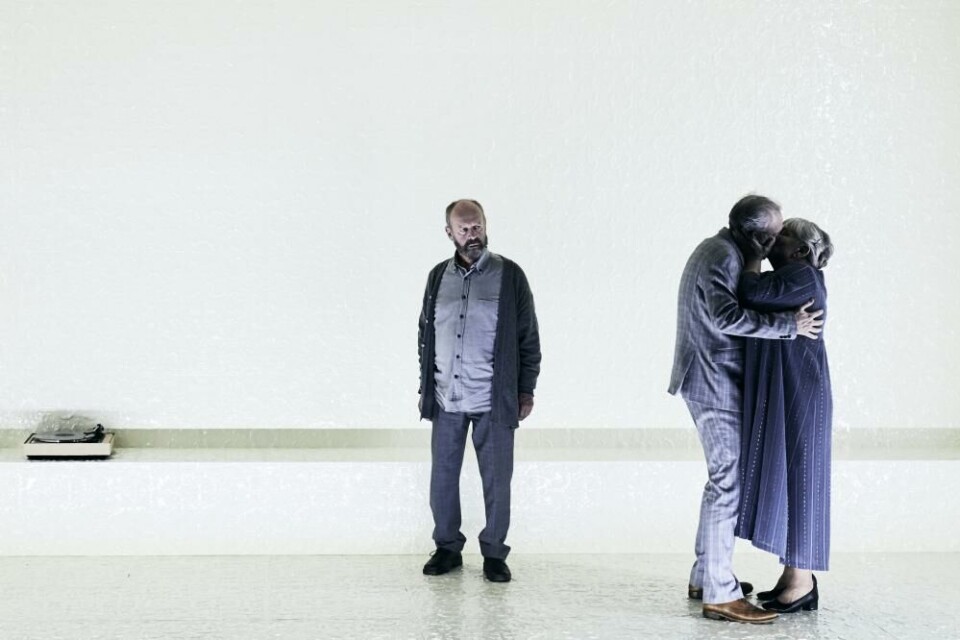 «Sterk vind». Foto: Pernille Sandberg
