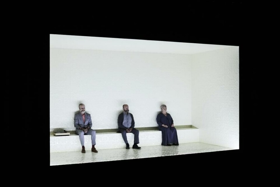 «Sterk vind». Foto: Pernille Sandberg