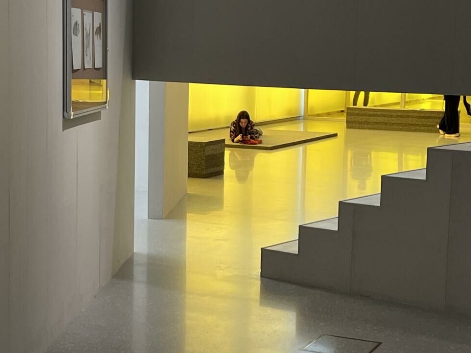 «Staged Institutions IV – The City, the Courtyard, the Light» av Goro Tronsmo. Nasjonalmuseet 2022. Foto: Goro Tronsmo