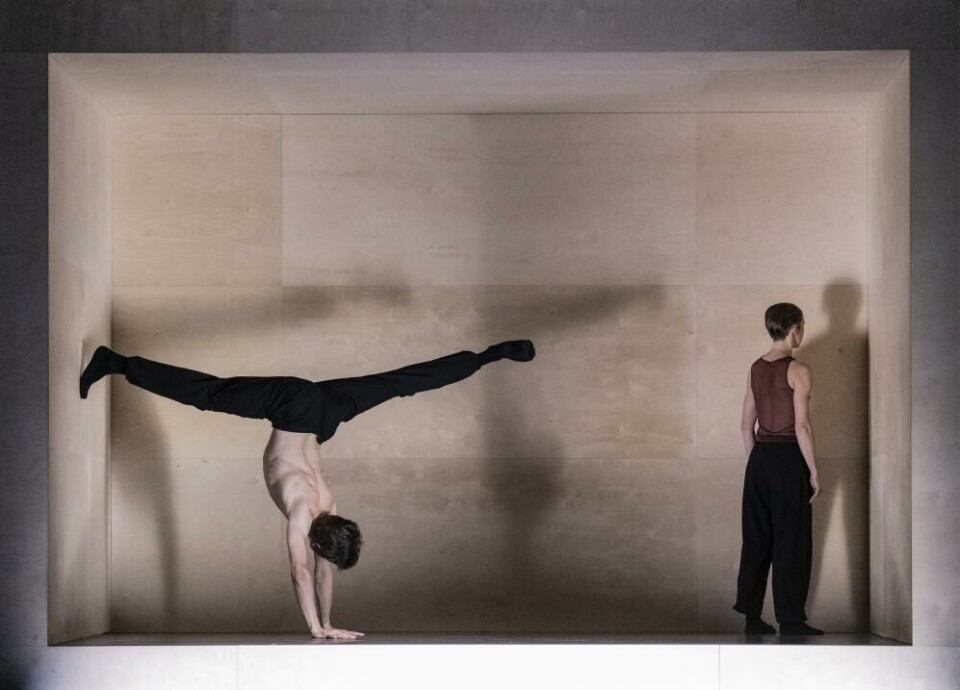 A Bolero. Foto: Erik Berg