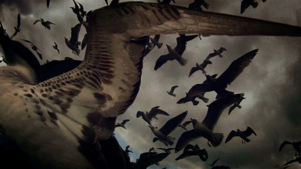 Stillbilde fra Leviathan, dokumentarfilm av Véréna Paravel (2012).