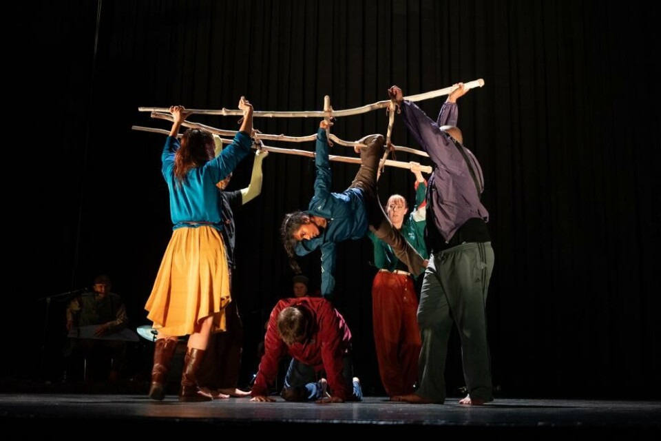 Karhutanssi. Foto: Steve Nilsen