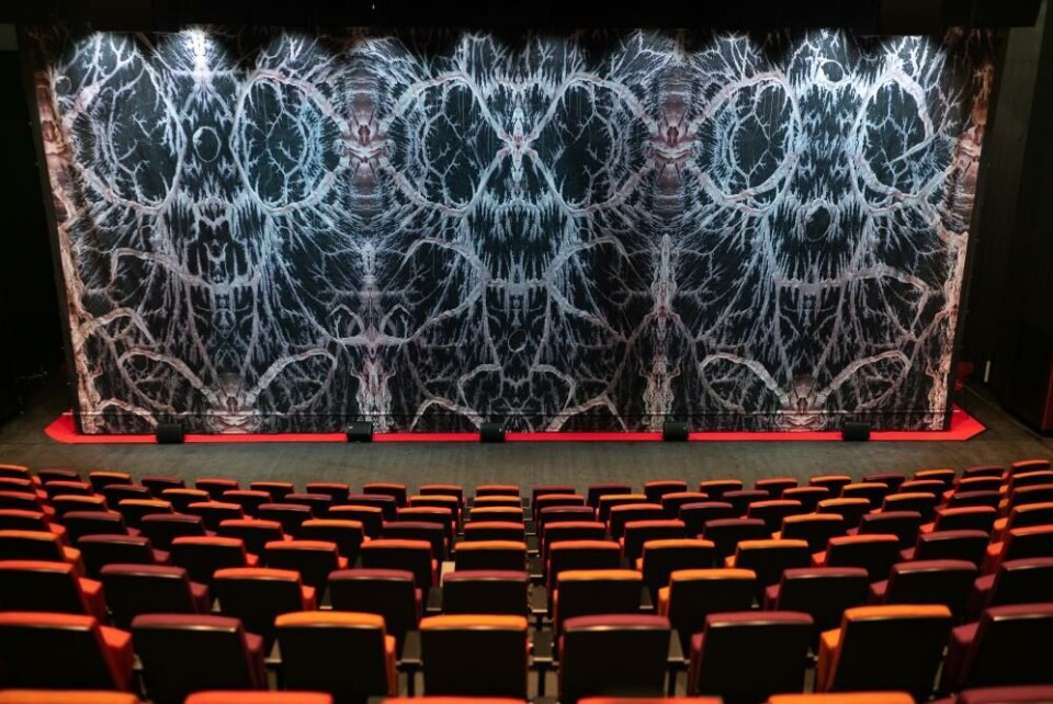 Sceneteppet i Čoarvemátta, av Máret Ánne Sara. Foto: Aslak Mikal Mienna