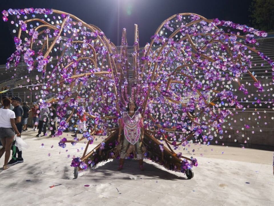 The Beautiful and ‘Sweaty Concepts’ of Caribbean Carnival Costumes:
Michelle Reyes’s 2018 award winning “D’Rise of de Cherry Blossom” costume
D'Rise of de Cherry Blossom, kostyme av Michelle Reyes, 2018. Foto Jacquey Taucar