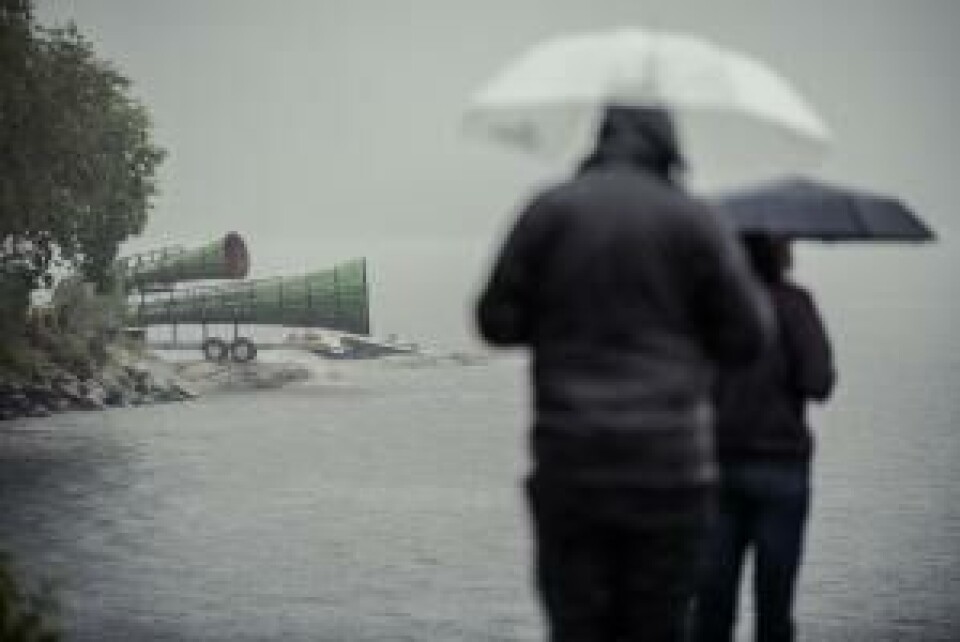 Røyst. Foto: David Zadig