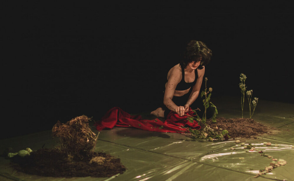 «Gardening» av Rita Maria Munoz (NO/CL). Foto: Michaela Gettwert.
