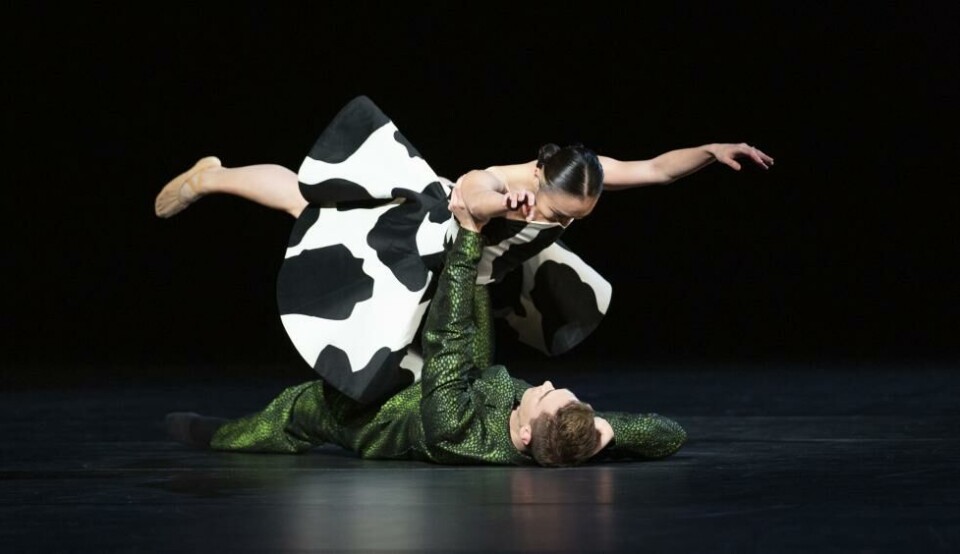 Nae Nishimura og Martin Dauchez i «…og Brahms», koreografi: Mats Ek. Den norske Opera & Balett 2022. Foto: Gert Weigelt