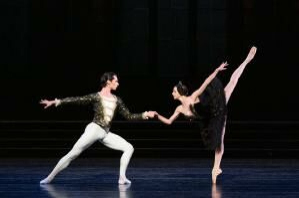 Black Swan. Foto: Erik Berg