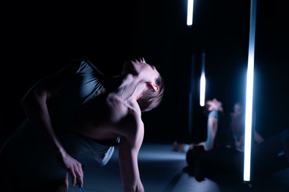 «Panser», koreografi av Jonathan Ibsen og Fredrik Petrov. Black Box teater 2024. Foto: Karl Oskar Sørdal