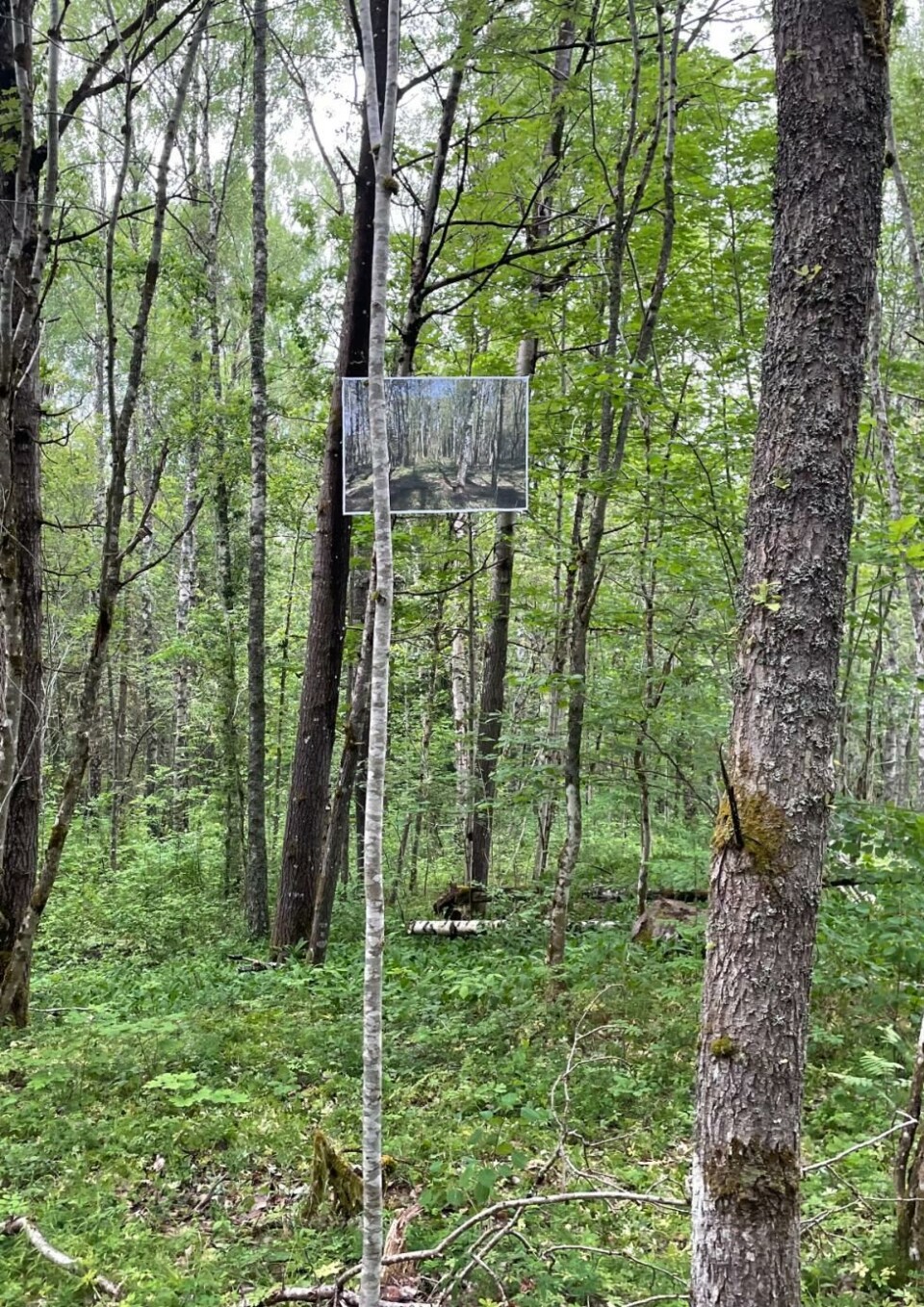 «Made in China» av Espen Klouman Høiner og Brent Busk teater 2024. Foto: Espen Klouman Høiner