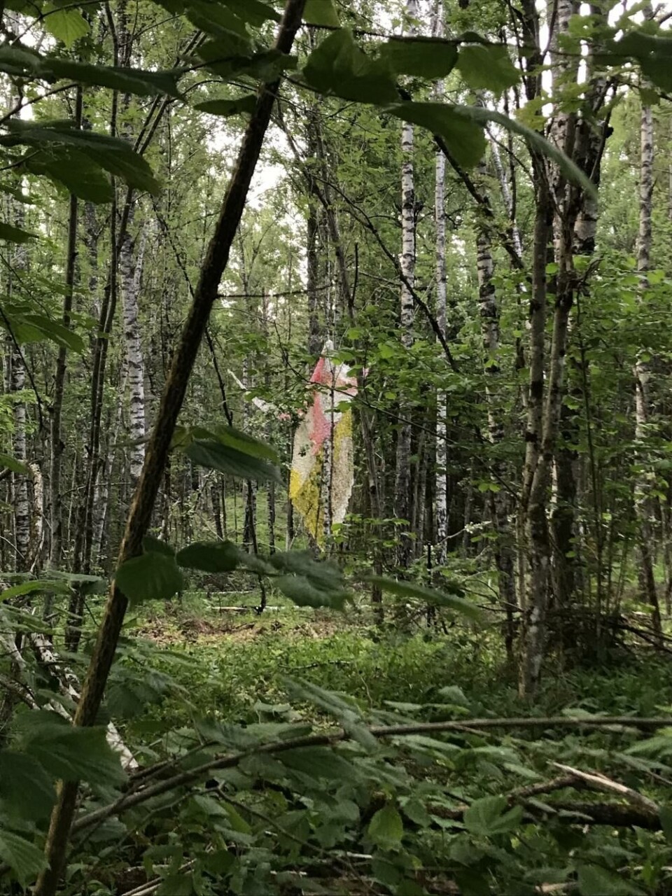 Foto: Espen Klouman Høiner